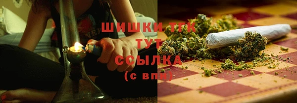 стаф Зеленокумск
