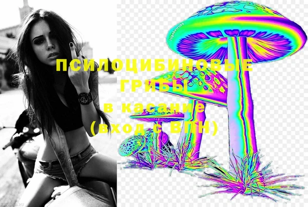 мдпв Зерноград