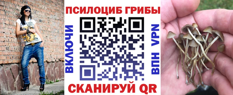 Псилоцибиновые грибы прущие грибы Нюрба