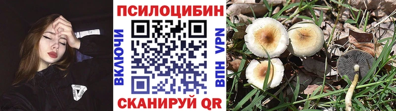 Псилоцибиновые грибы ЛСД  Нюрба 