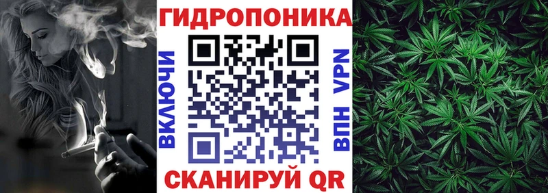 Шишки марихуана Amnesia  Нюрба 